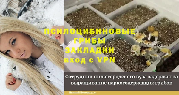 кокс Абаза