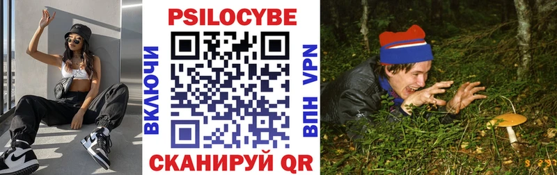 Псилоцибиновые грибы Psilocybine cubensis  Новочеркасск 
